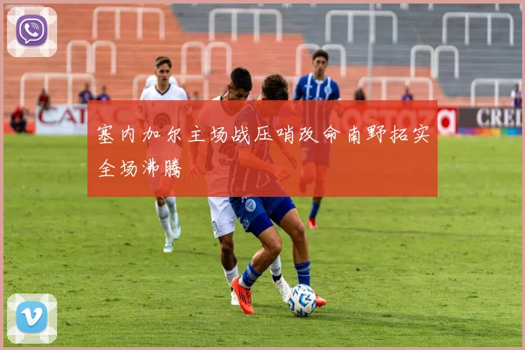 塞内加尔主场战压哨改命南野拓实全场沸腾
