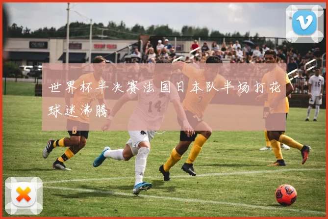 世界杯半决赛法国日本队半场打花球迷沸腾