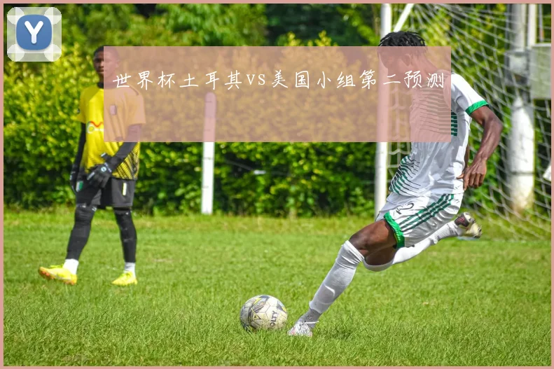 世界杯土耳其vs美国小组第二预测