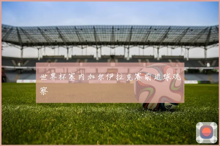 世界杯塞内加尔伊拉克赛前进球观察
