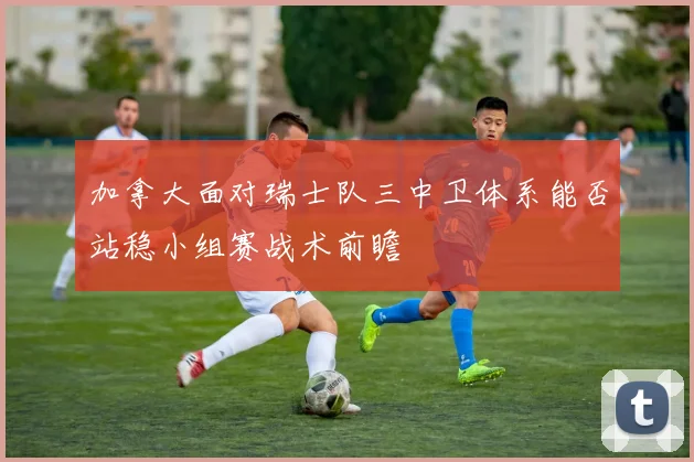 加拿大面对瑞士队三中卫体系能否站稳小组赛战术前瞻