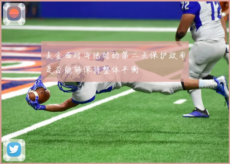 麦金面对海地时的第二点保护效率是否能够保持整体平衡