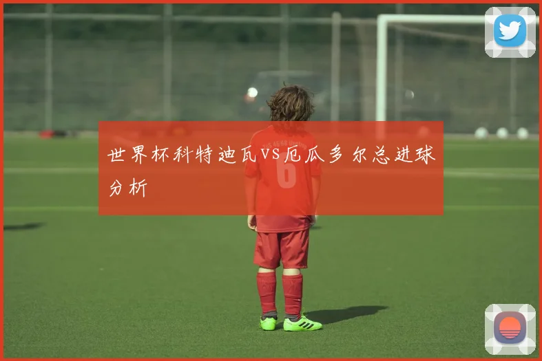 世界杯科特迪瓦vs厄瓜多尔总进球分析