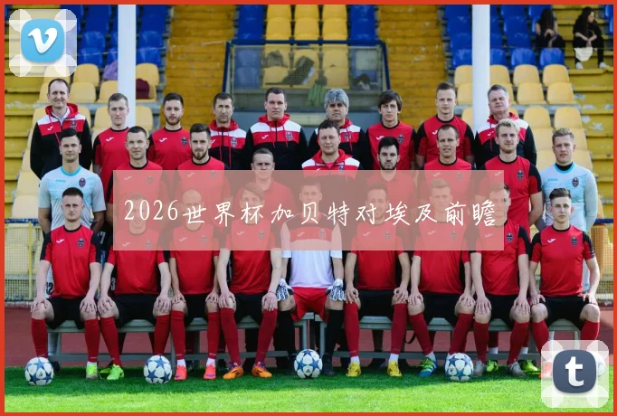 2026世界杯加贝特对埃及前瞻